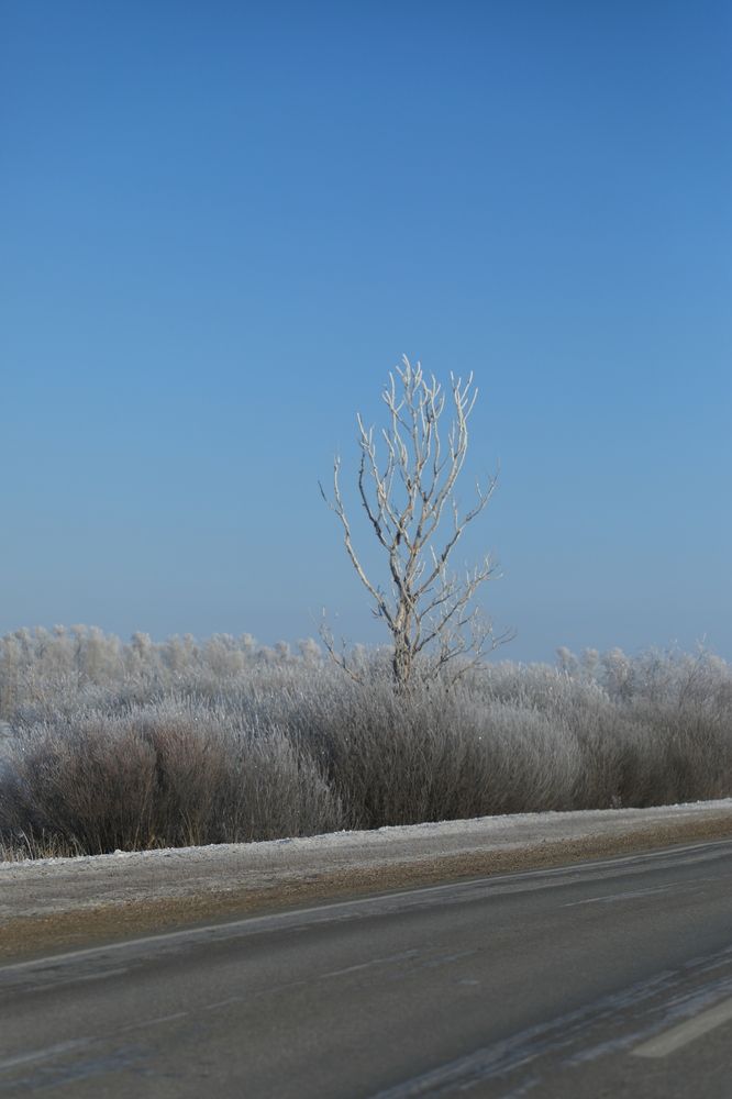 Photograph by Александра Почечуева