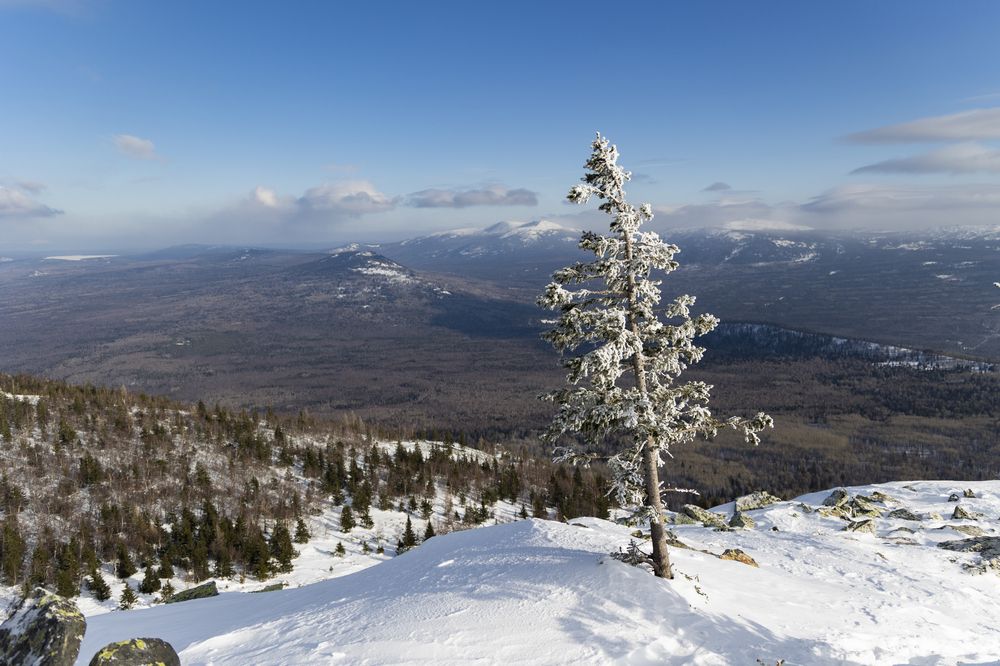 Photograph by Sergey Vatta