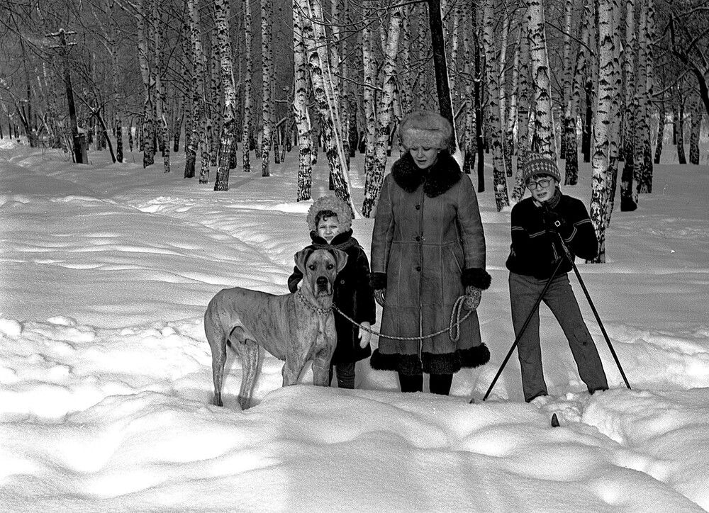 Photo #11809487