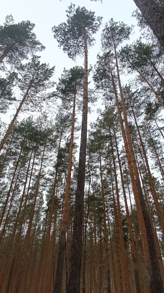 Photograph by Ксения Минеева