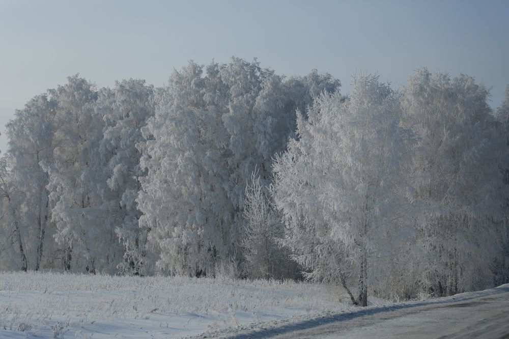 Photograph by Александра Почечуева