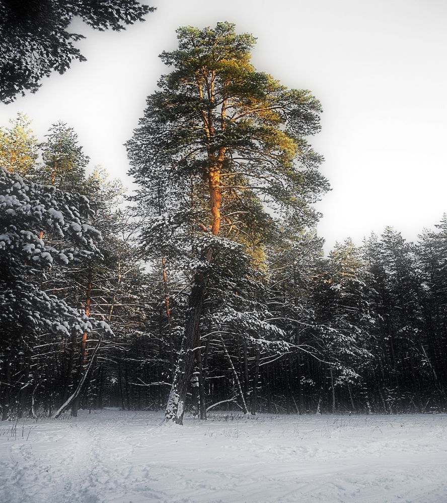 Вечернее убранство