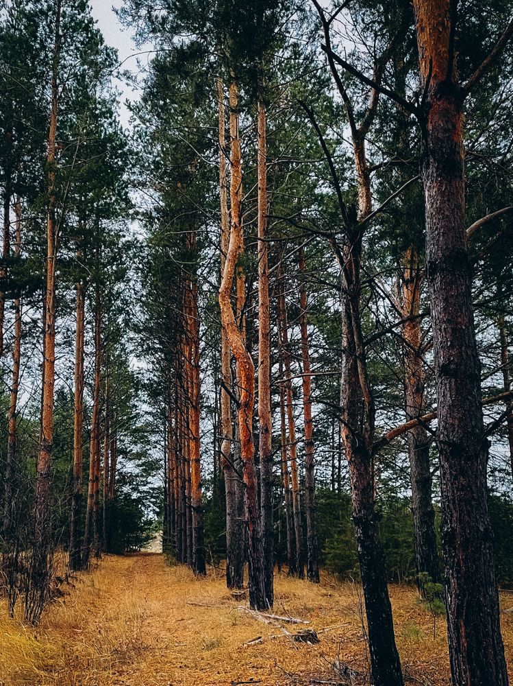 Photograph by Ляйсан Саляхиева