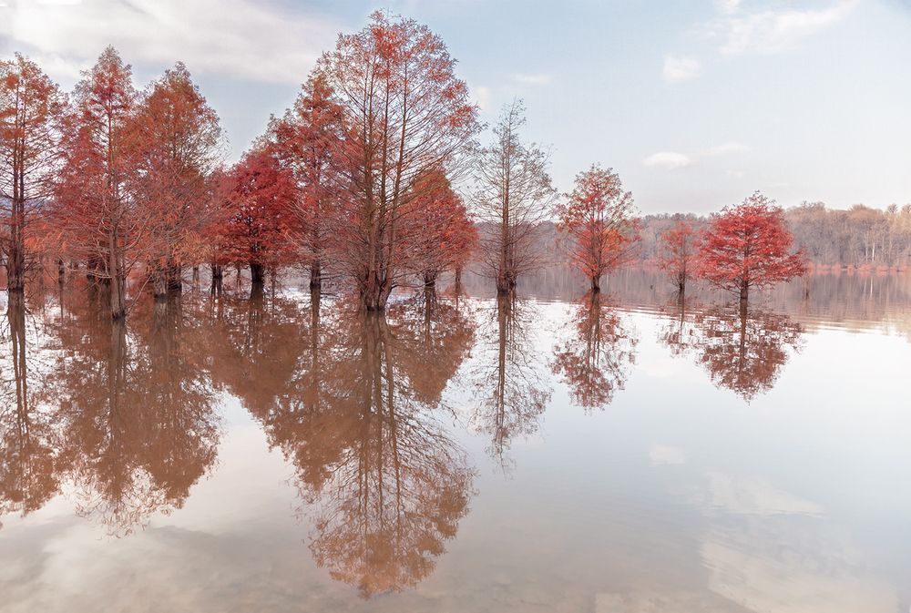 Photograph by Esmaeil rashedi