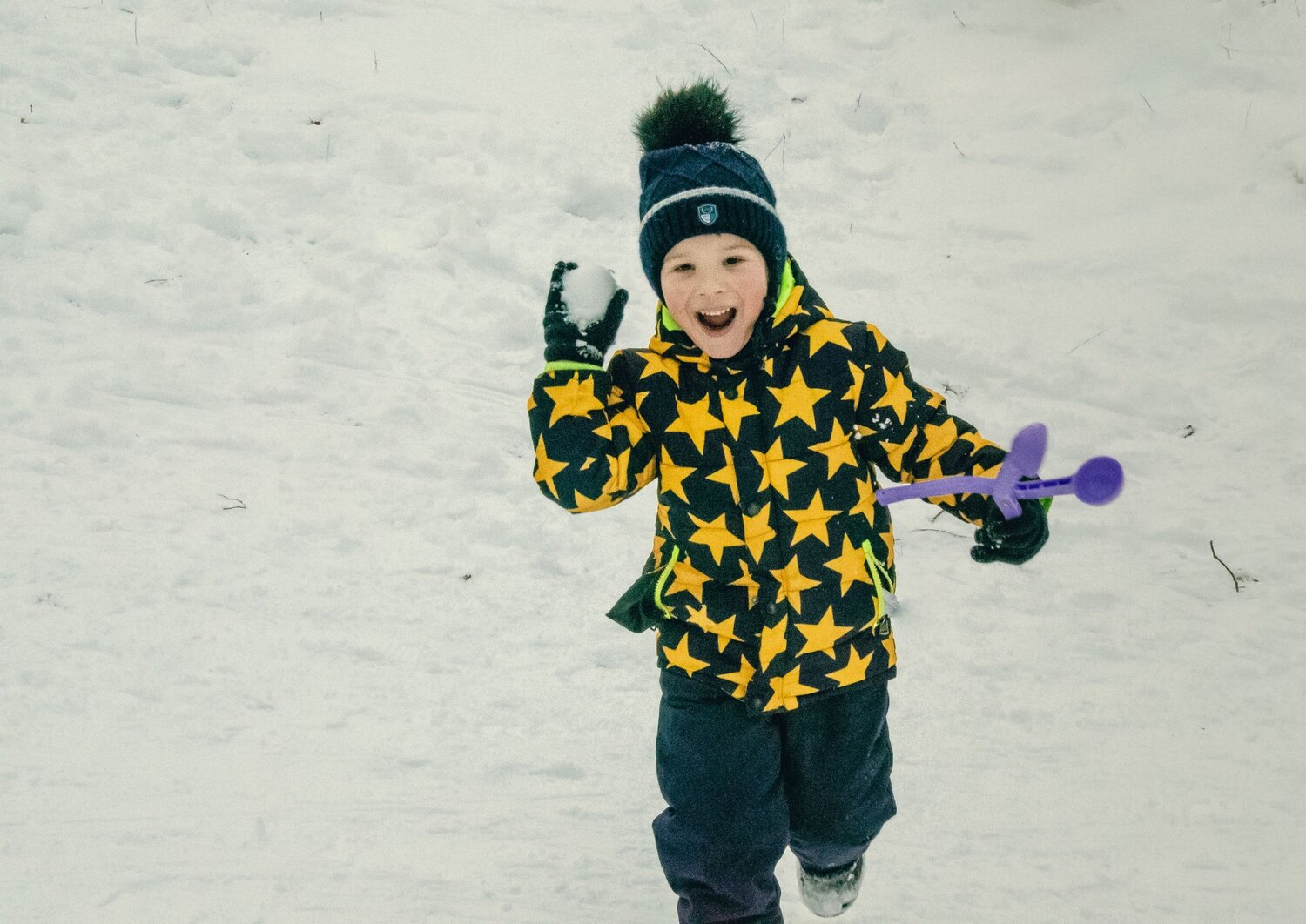 Photo #11809547