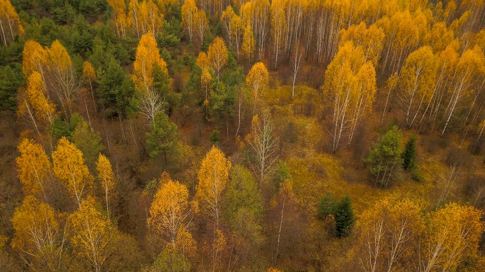 Photograph by Sergey Farenyuk