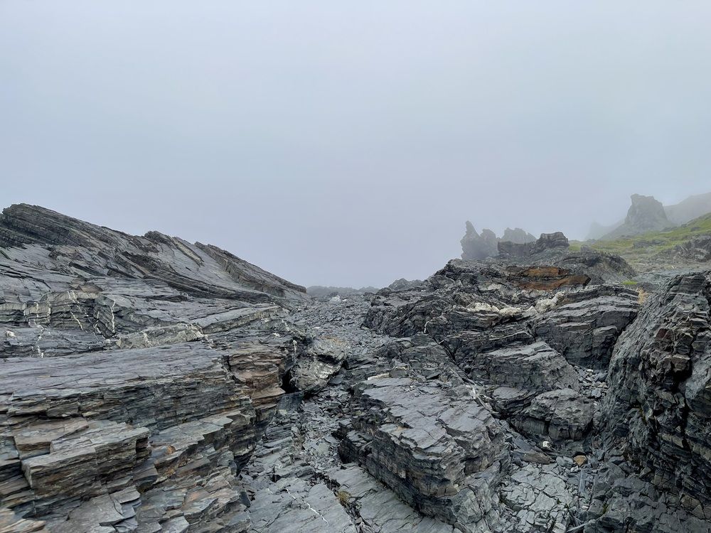 Photograph by Татьяна Лавренова