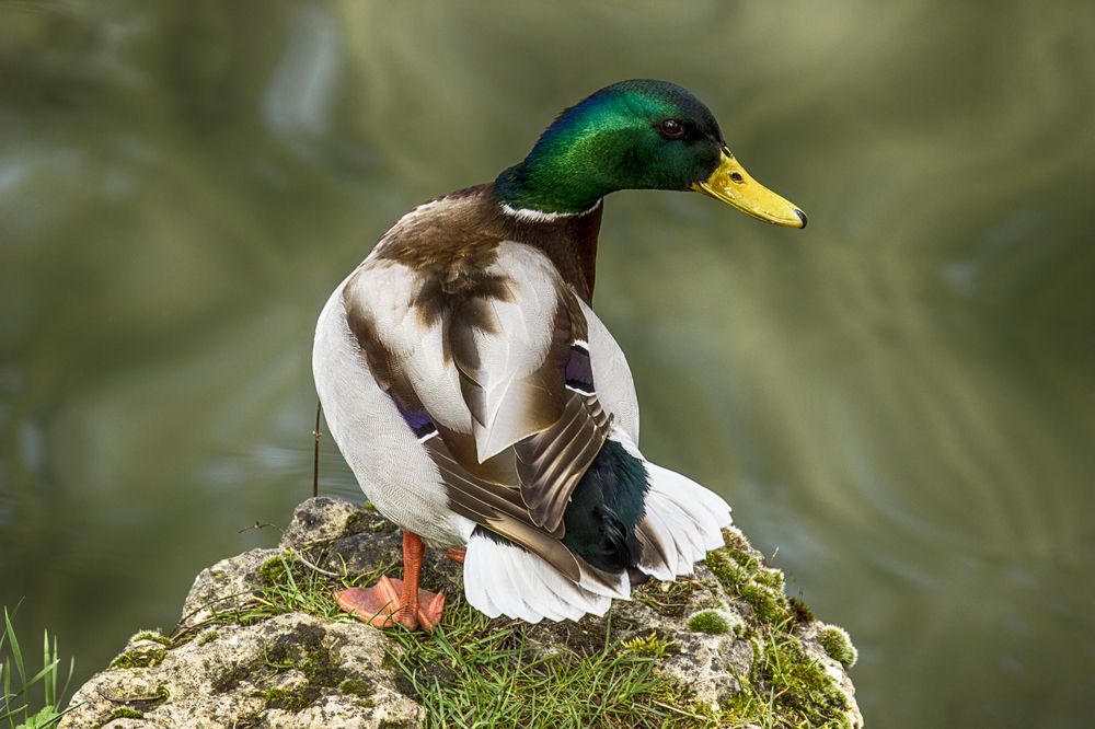 Фотография автора Марина Иванова