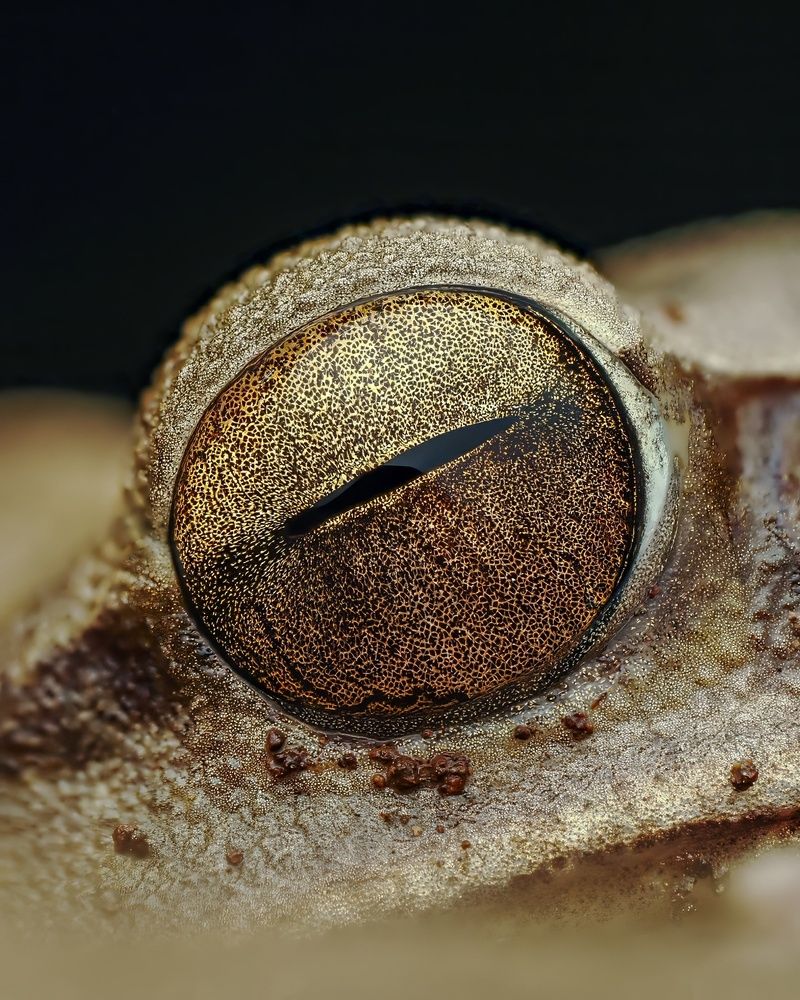 Photograph by Hardeep Solanki