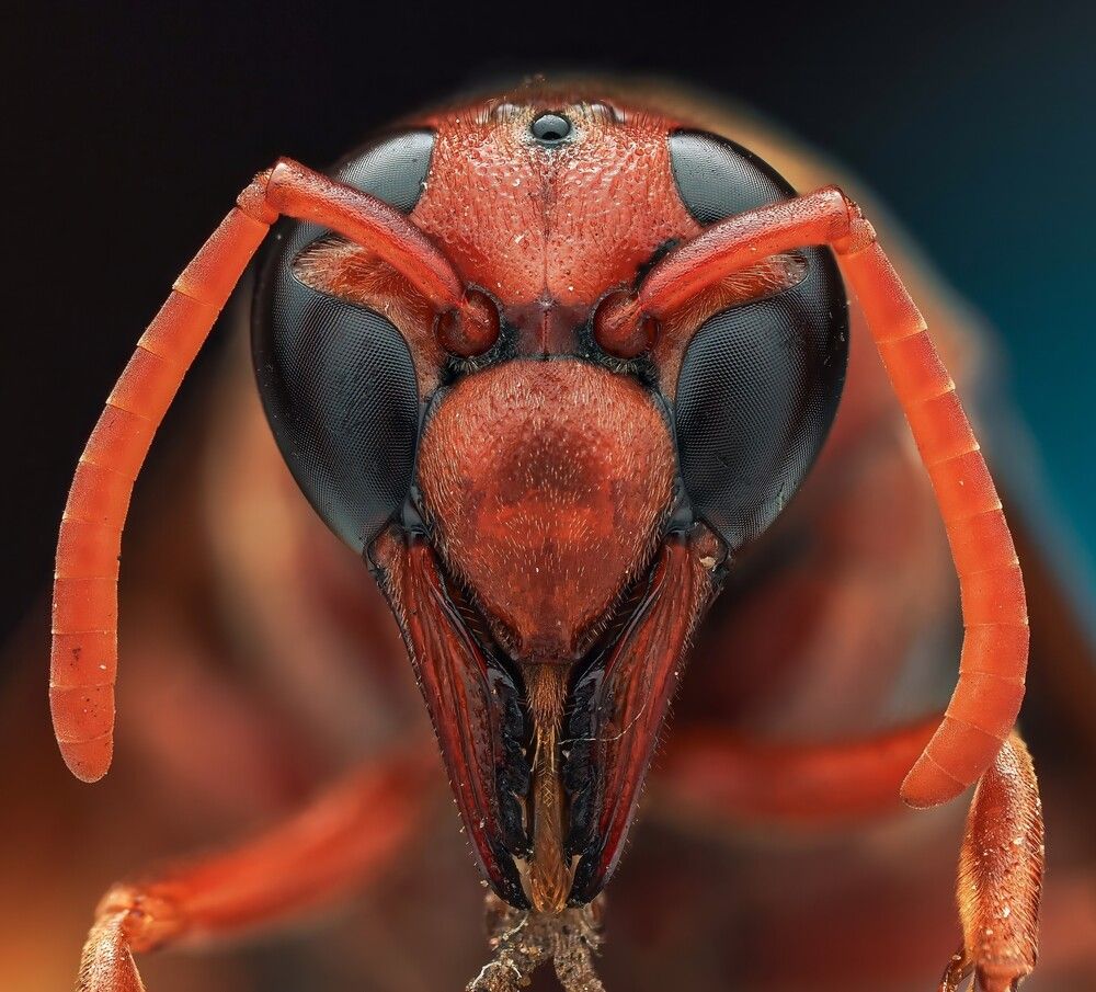 Photograph by Hardeep Solanki