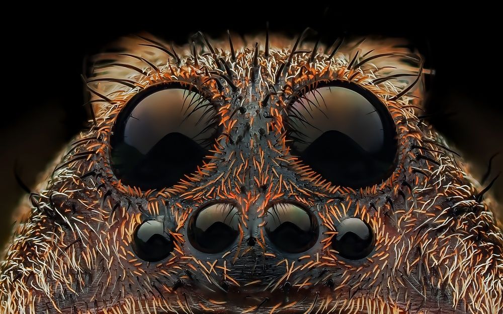 Photograph by Hardeep Solanki