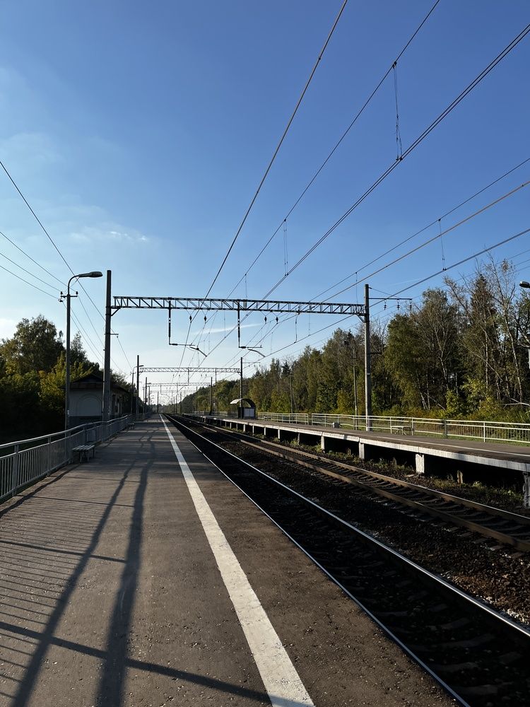 Photograph by Бравичева Анастасия