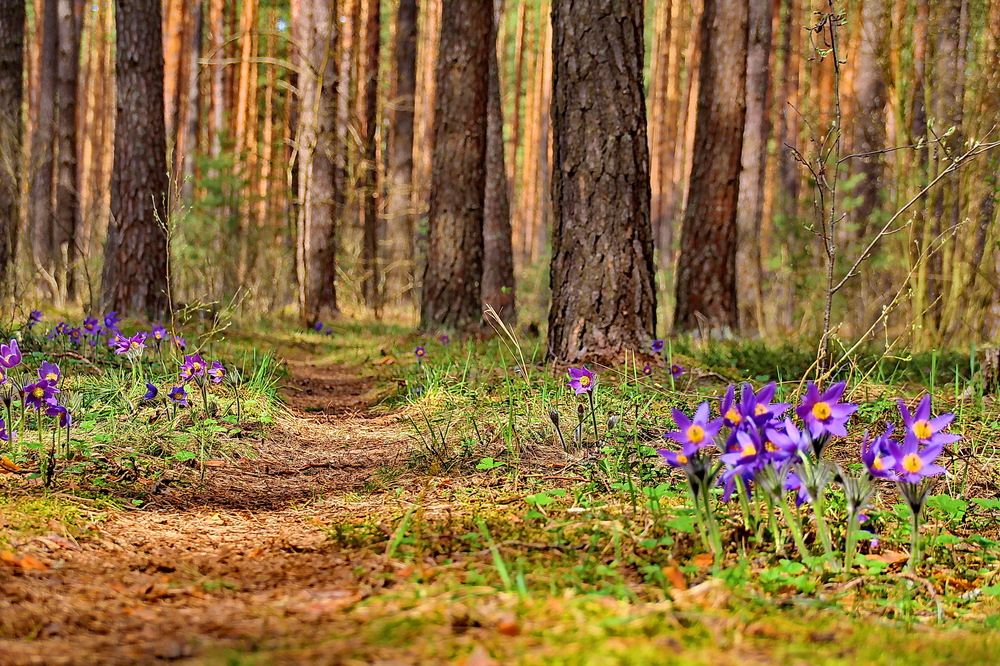 Photograph by Виталий Симоненков