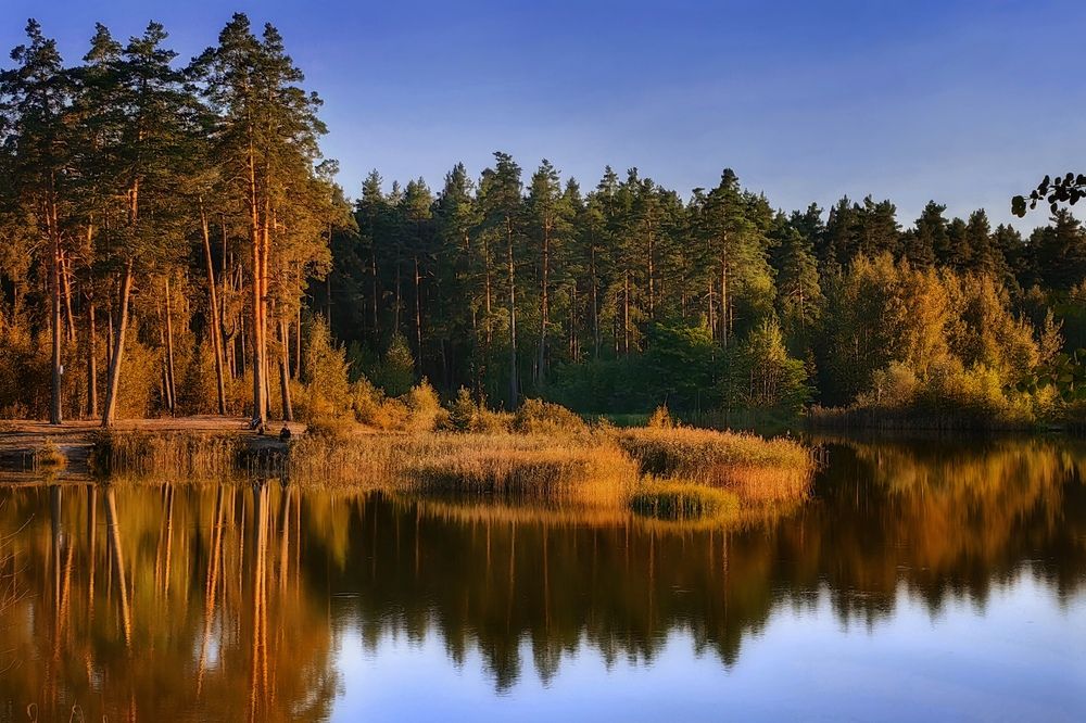 Photograph by Татьяна Бравая