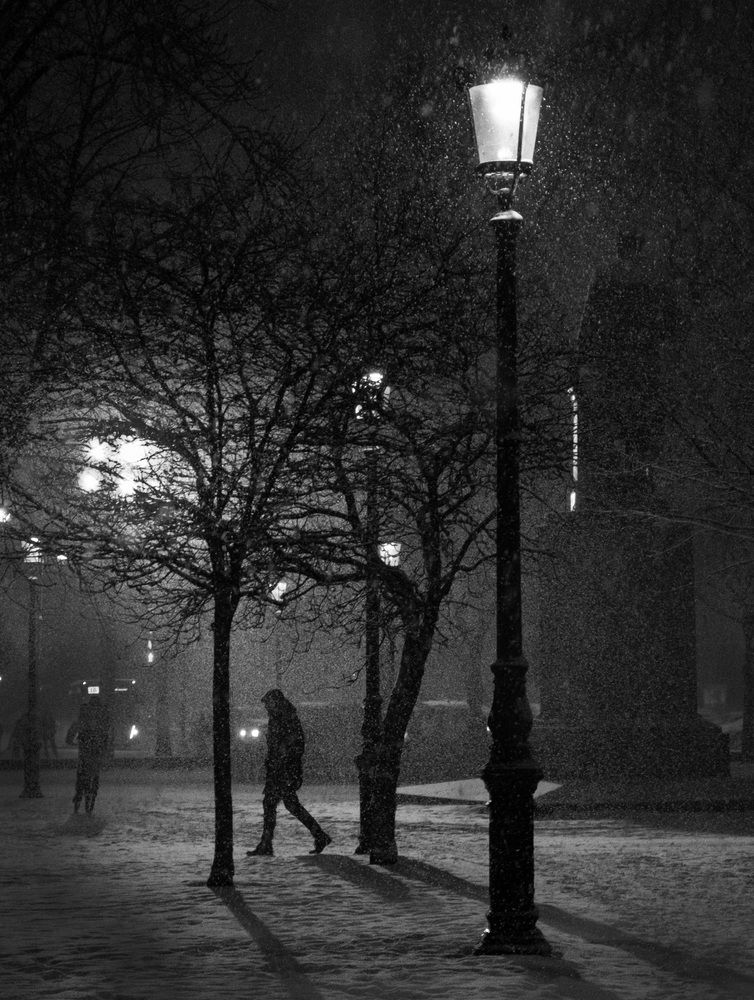 Фотография автора Маргарита Гиршфельд