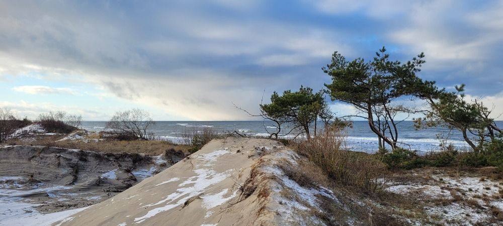 Photograph by Эльвира Афанасьева