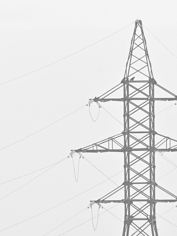 Photograph by Виктория Шажко