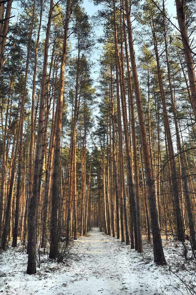 Photograph by Cергей Абакумов