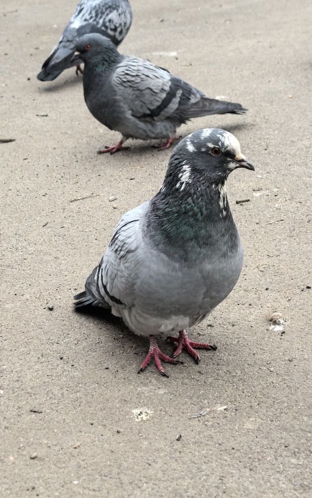 Фотография автора Марина Новикова