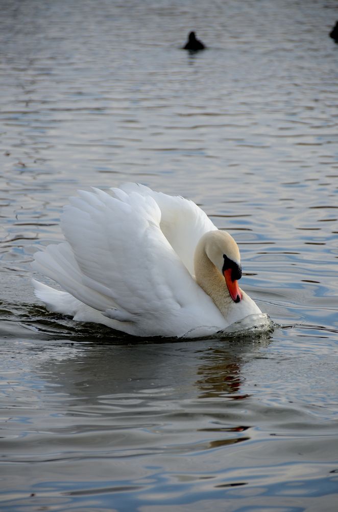 Фотография автора Батюков Алексей