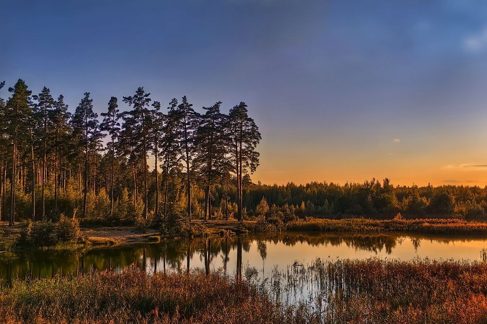 Photograph by Татьяна Бравая