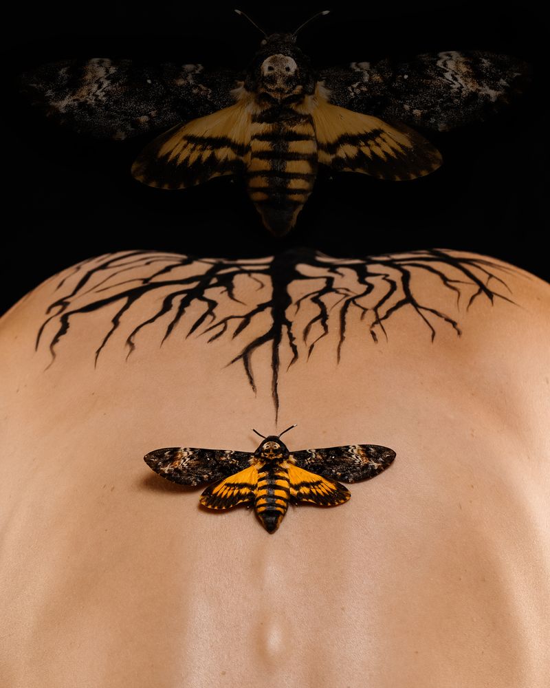 Photograph by Наталия Черкасова