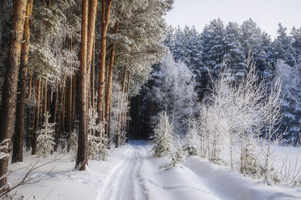 Photograph by Татьяна Добровольская