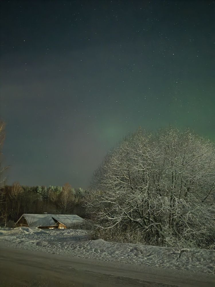 Photo #11809794