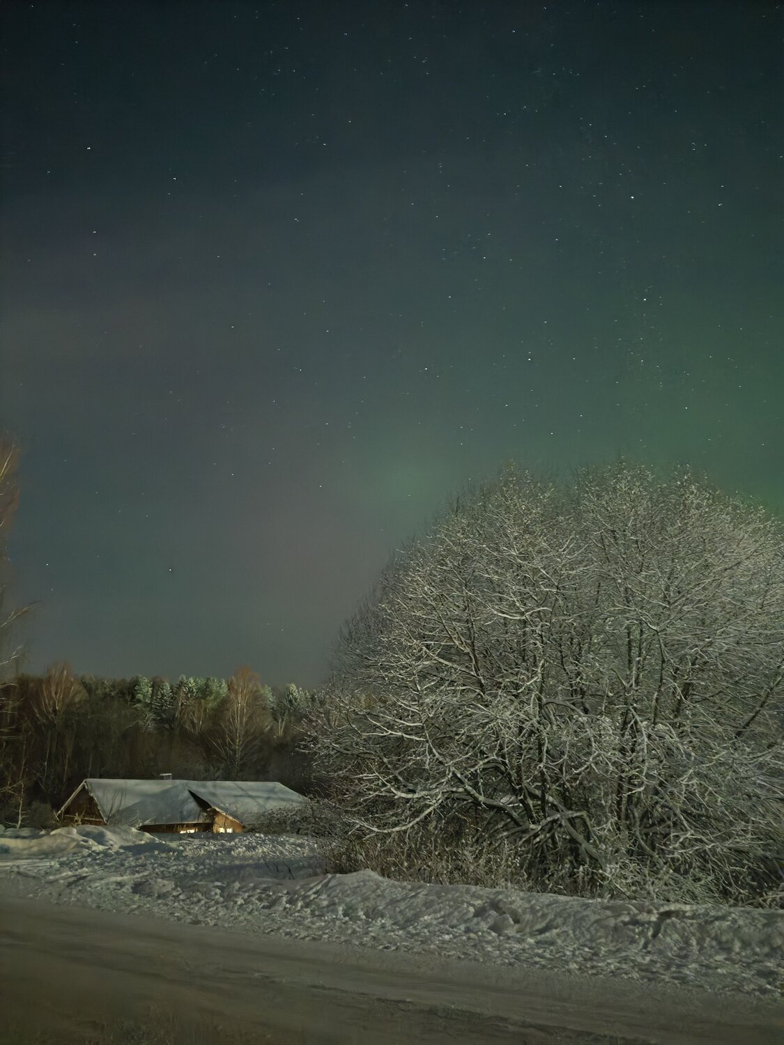 Photo #11809794