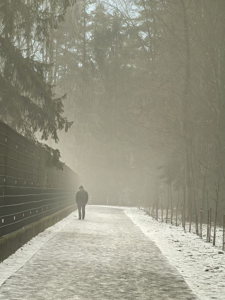 Фотография автора Марина Новикова