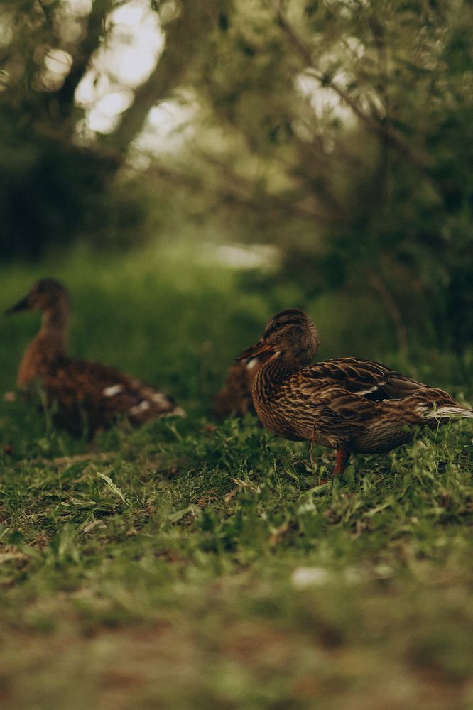 Photograph by Анна Балова