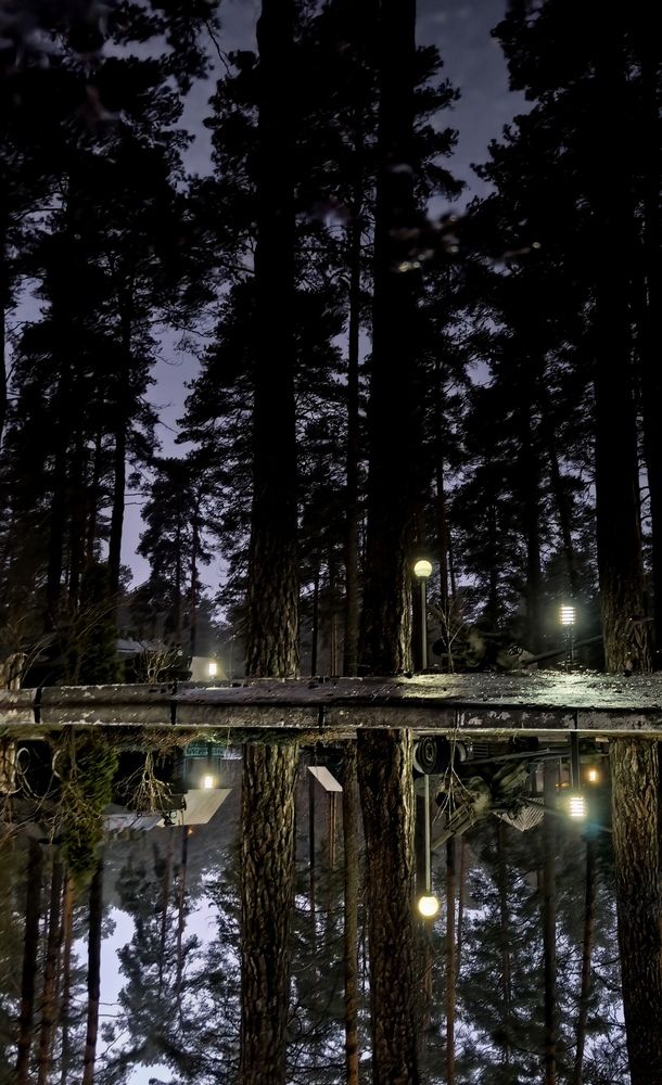 Фотография автора Марина Новикова