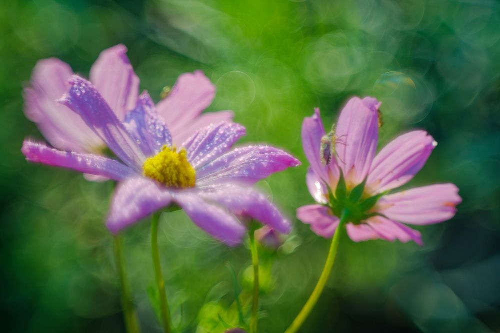 Photograph by Альберт Загиров