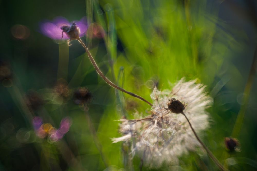 Photograph by Альберт Загиров