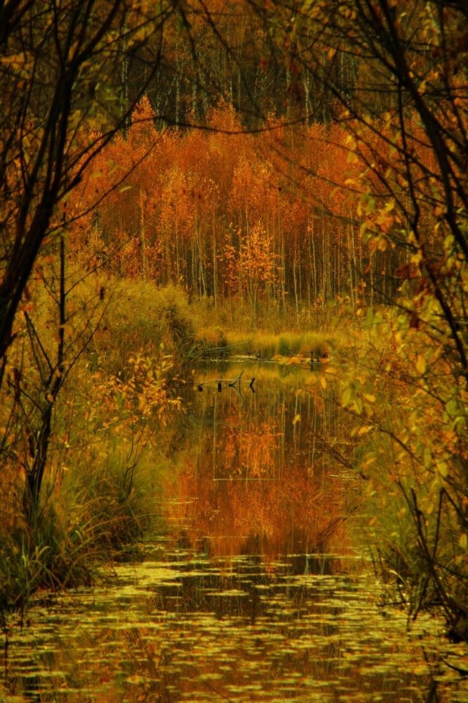 Фотография автора Александр Крапачев