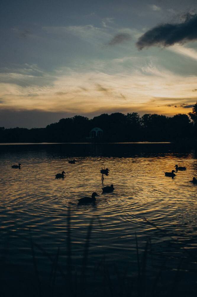 Photograph by Анна Балова