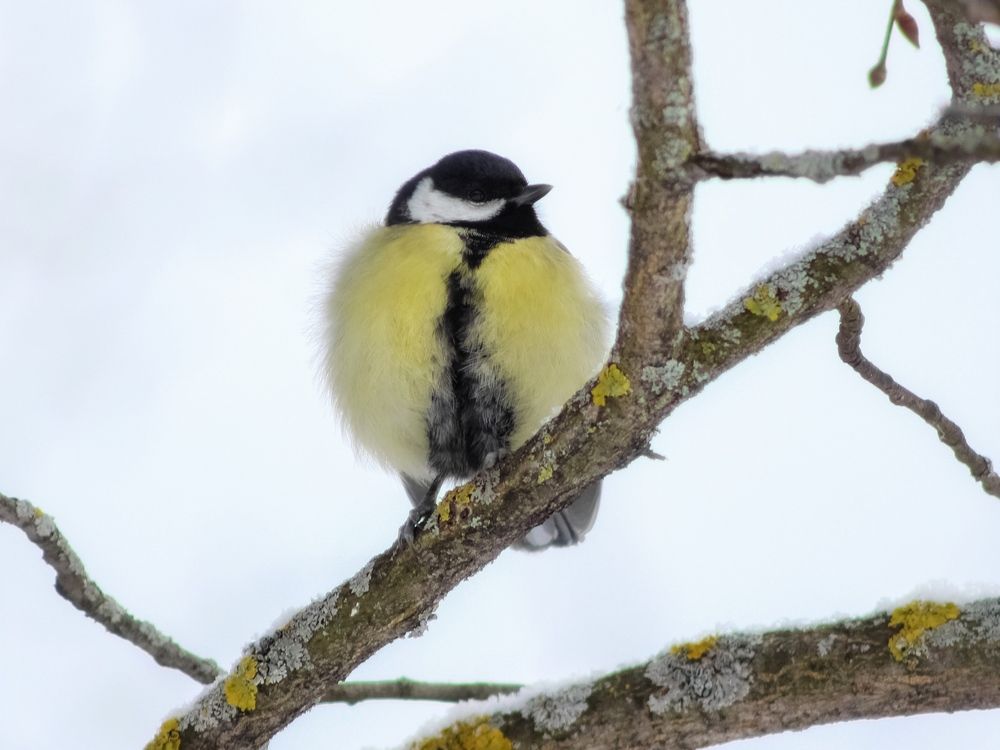 Фотография автора Евгения Никишина