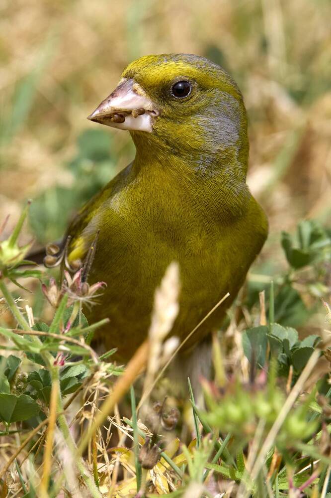 Photograph by Илья Шишков