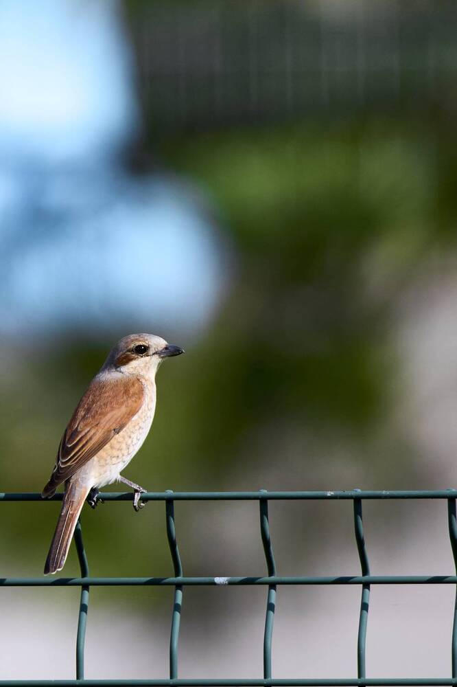 Photograph by Илья Шишков