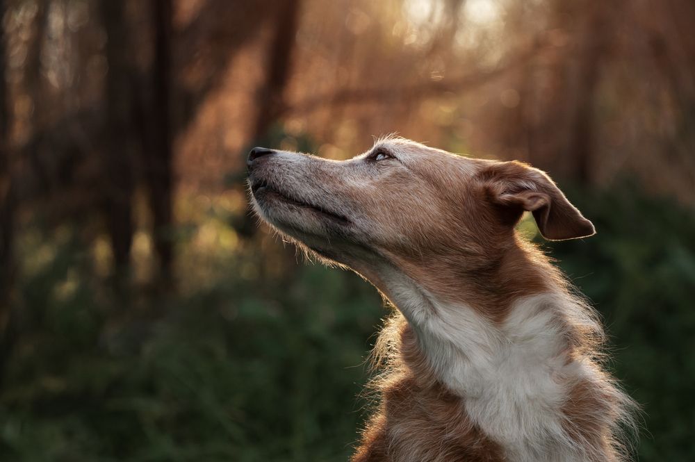 Photograph by leticia pascual garcia