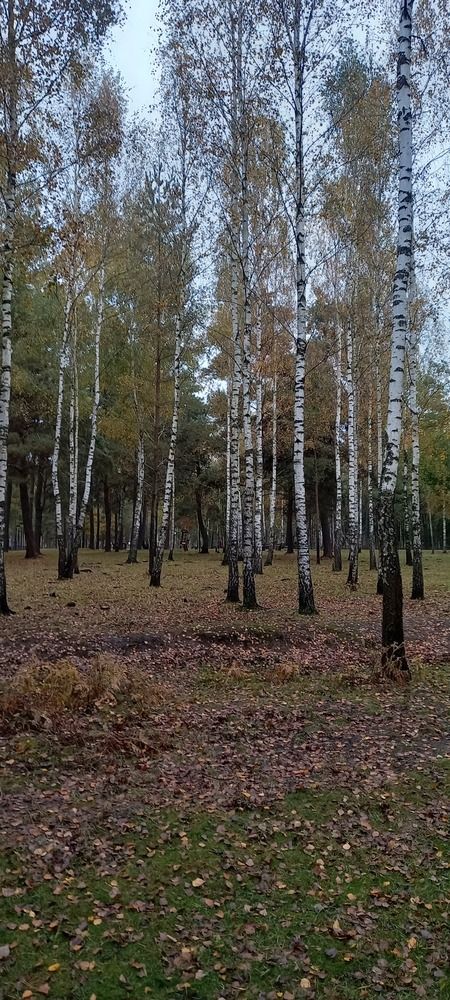 Фотография автора Марина Новикова