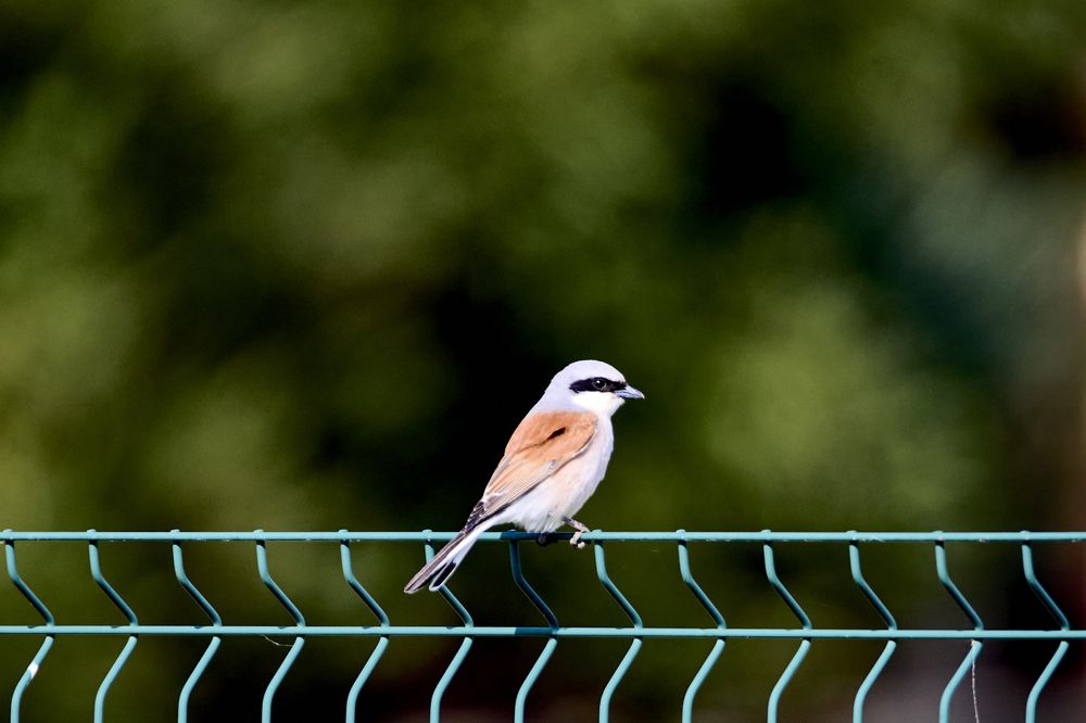 Photograph by Илья Шишков