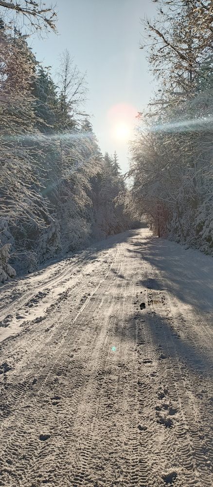 Photo #11809848