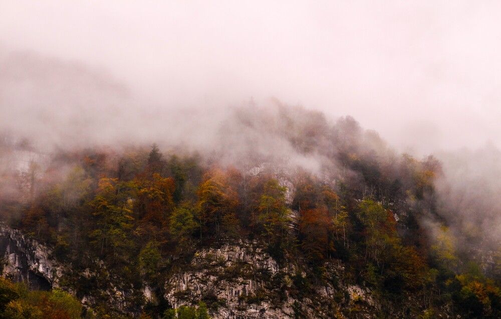 Photograph by Алексей Лапшин