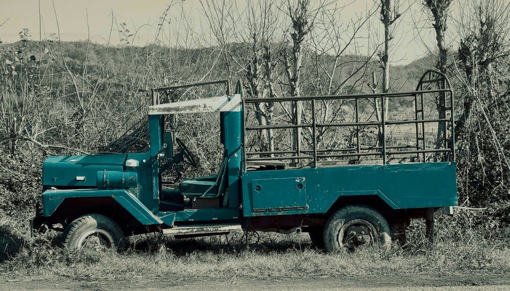 Photograph by amir mohammad manzouri