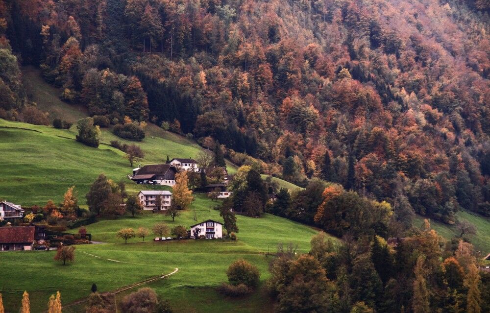 Photograph by Алексей Лапшин