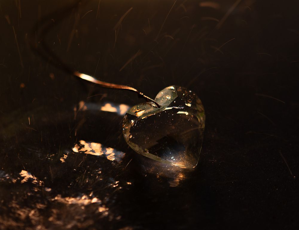 Photograph by Лидия Баженова