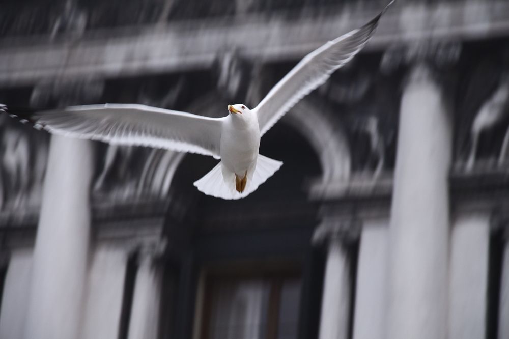 Photograph by Алексей Лапшин