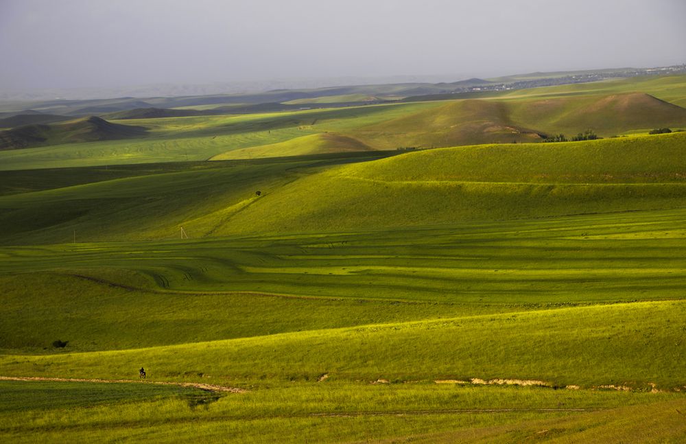 Photograph by Лия Яковлева