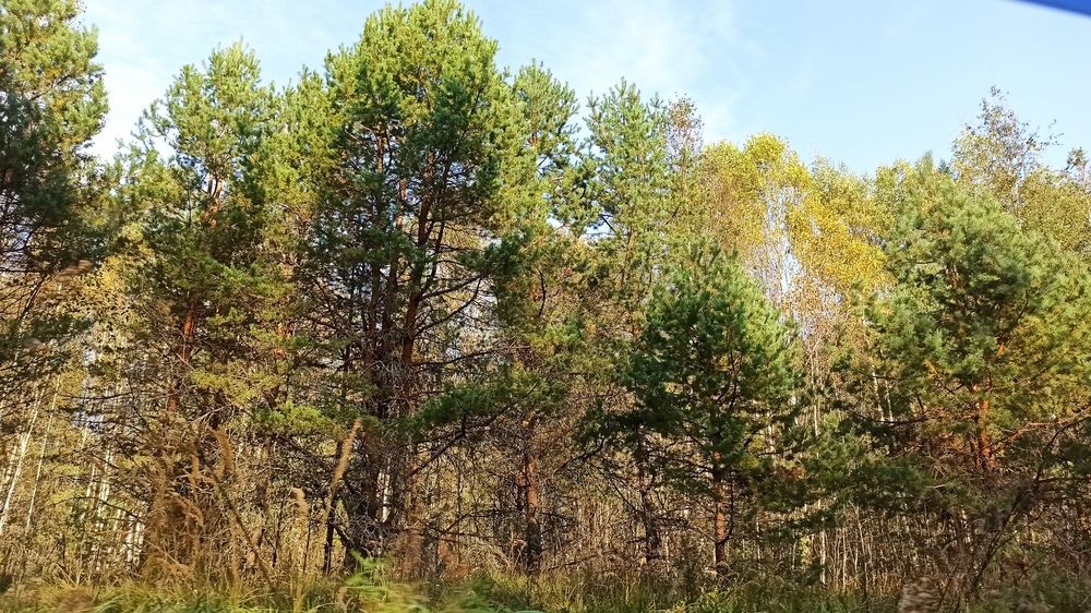 Photograph by Валерия Сопова